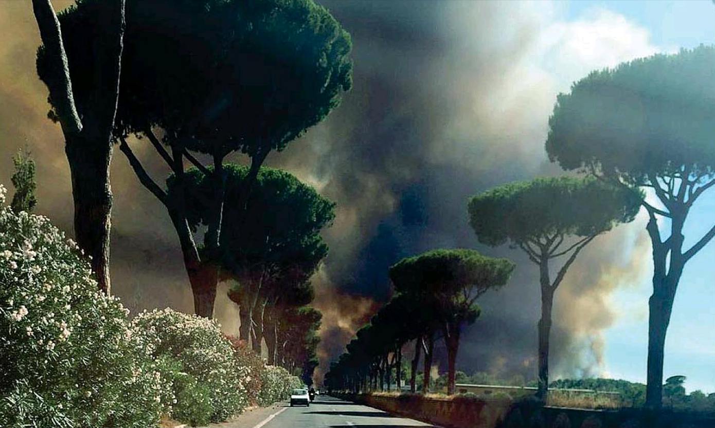 a Ostia (Roma) incendi dolosi... "per lavorare !"; fonte Ansa