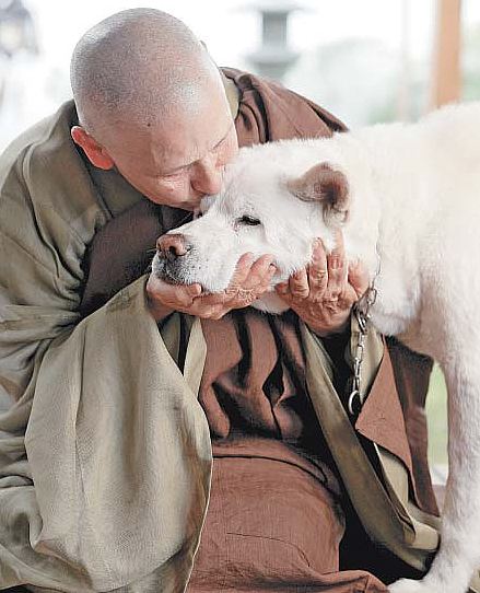 Monaca buddista all'animale: "se abbiamo mancato di fare il bene, perdiamo. Avremo un'altra occasione?"; fonte Giandalia
