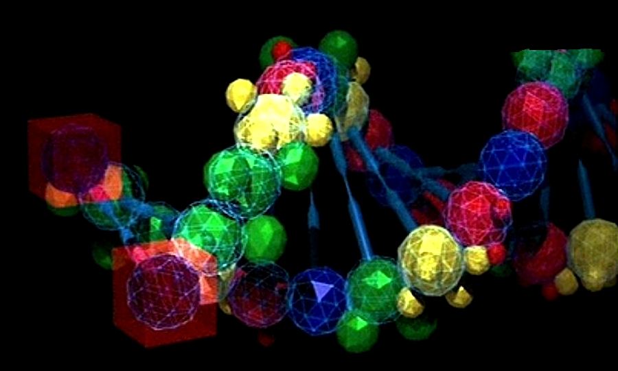 Verso il DNA (codice genetico) artificiale