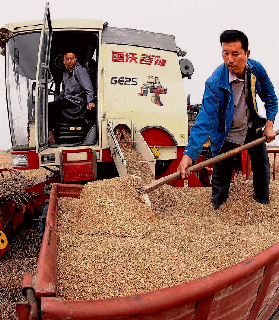 dal Governo cinese sussidi massicci all'agricoltura; fonte Reuters