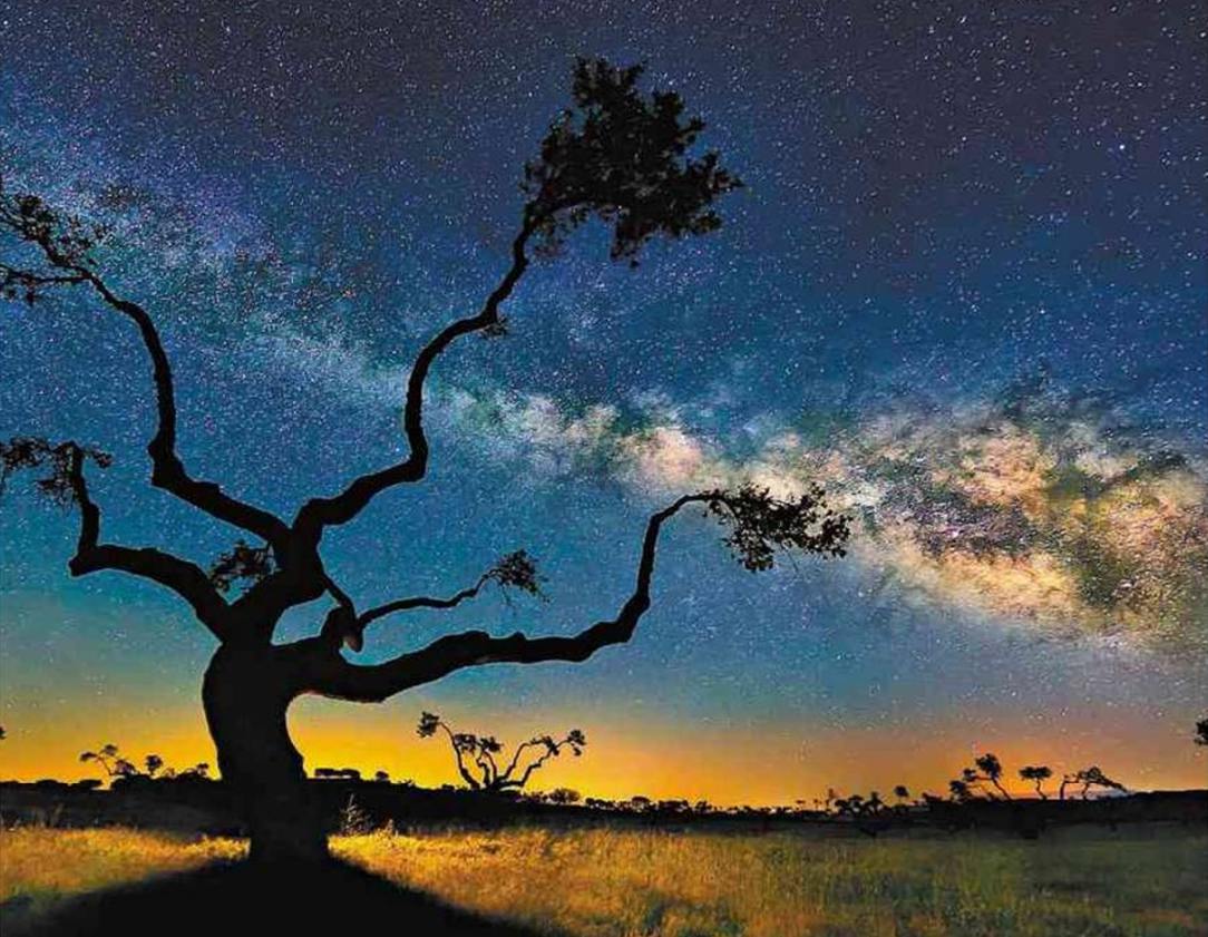 " L'Albero della Galassia " (la Via Lattea), dalla Spagna; fonte NASA
