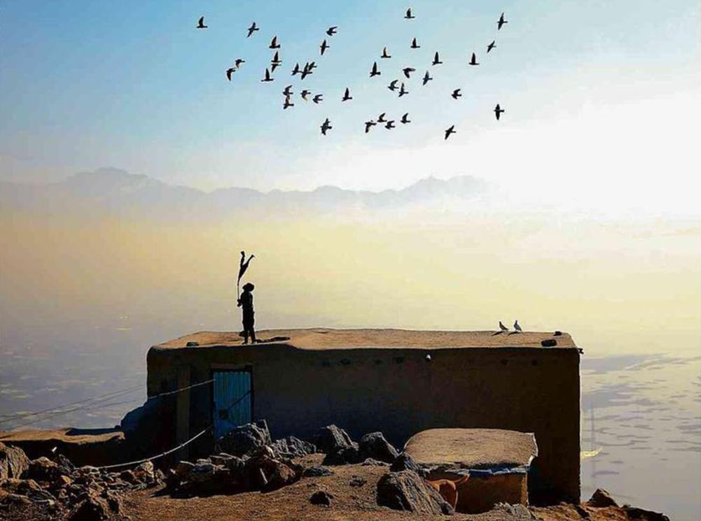 Cabul (Afganistan), bambino sul tetto della sua casa orienta al volo stormo di colombi addomesticati; fonte Reuters