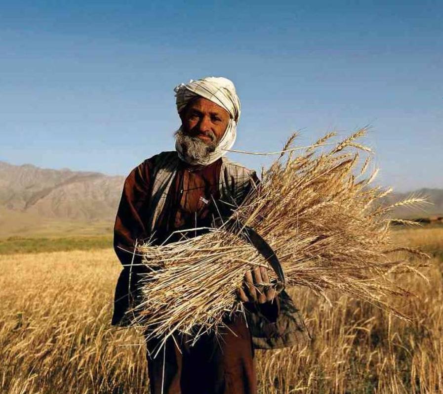 vicino a Kabul, Afghanistan