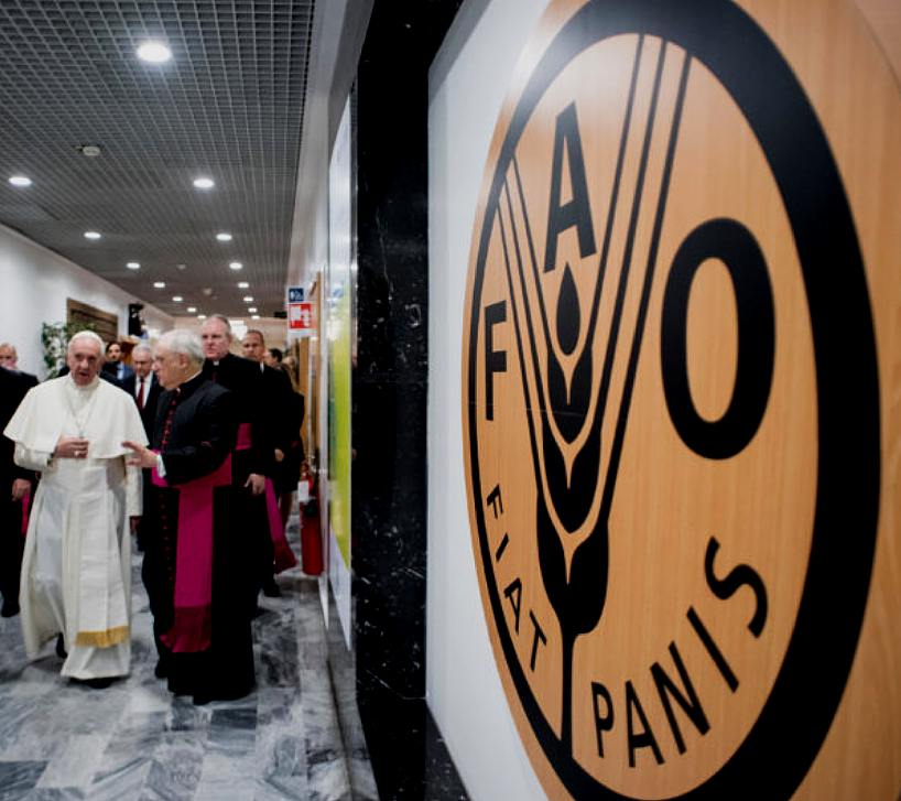 Papa Francesco alla FAO di Roma - clicca , fonte O.R.